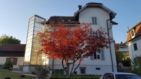 Casa Carmela Solothurn